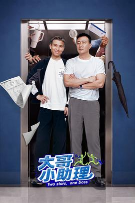 大哥小助理 - 影视剧导航封面
