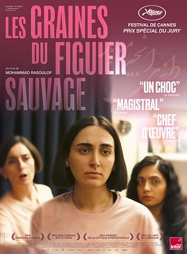 神圣无花果之种 - 影视剧导航封面