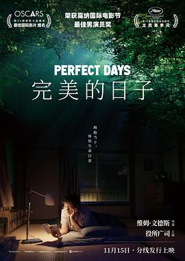 完美的日子 - 影视剧导航封面