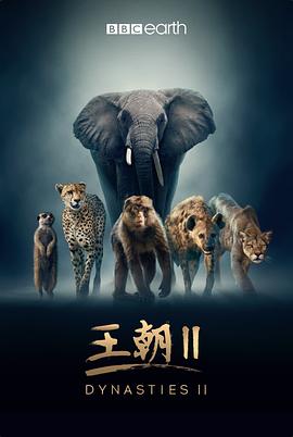 王朝 第二季 - 影视剧导航封面