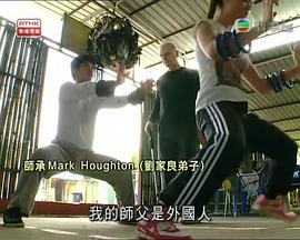 功夫传奇2：再战江湖 - 影视剧导航封面