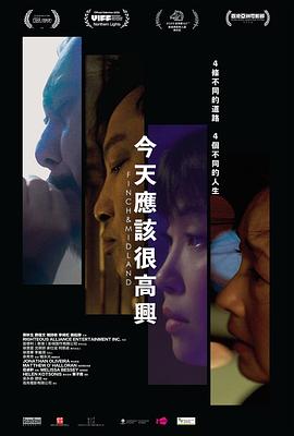 今天应该很高兴 - 影视剧导航封面