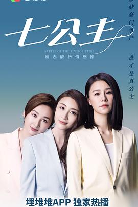 七公主 - 影视剧导航封面