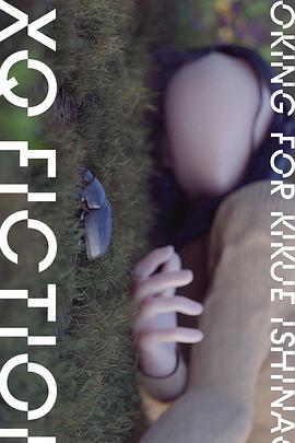 TXQ FICTION 寻找石永菊江 - 影视剧导航封面