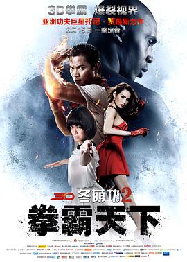 冬荫功2：拳霸天下 - 影视剧导航封面