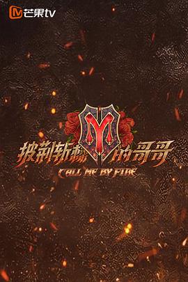披荆斩棘的哥哥 - 影视剧导航封面