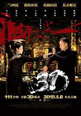 一代宗师 - 影视剧导航封面