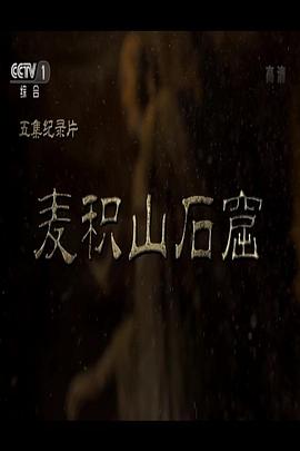 麦积山石窟 - 影视剧导航封面
