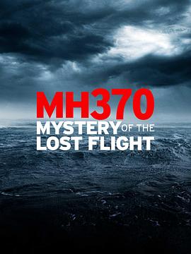 MH370：消失的航班 - 影视剧导航封面