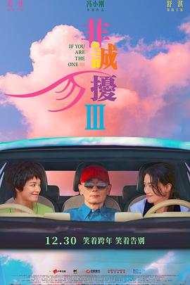 非诚勿扰3 - 影视剧导航封面