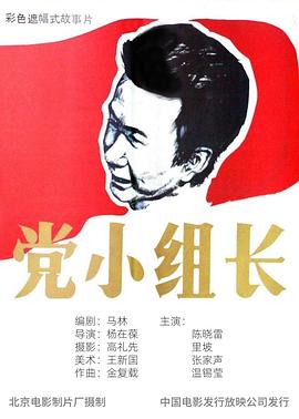 党小组长 - 影视剧导航封面