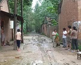 十万八千里 - 影视剧导航封面