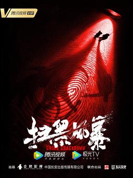 扫黑风暴 - 影视剧导航封面