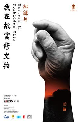 我在故宫修文物 - 影视剧导航封面