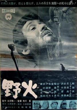 野火 - 影视剧导航封面