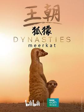 王朝：狐獴特辑 - 影视剧导航封面