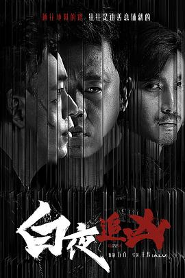白夜追凶 - 影视剧导航封面