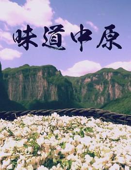 味道中原 - 影视剧导航封面