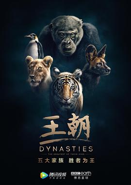 王朝 第一季 - 影视剧导航封面