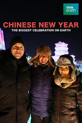 中国新年：全球最大庆典 - 影视剧导航封面