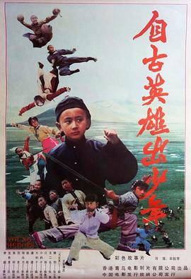 自古英雄出少年 - 影视剧导航封面