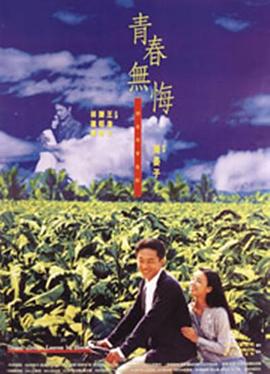 青春无悔 - 影视剧导航封面