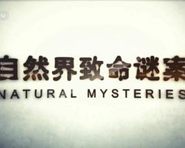 自然界致命谜案 - 影视剧导航封面