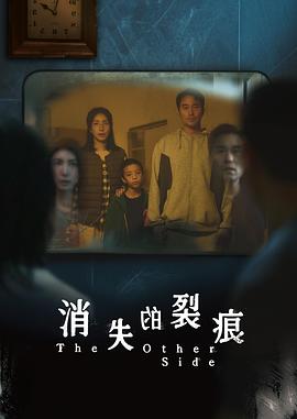 消失的裂痕 - 影视剧导航封面