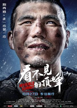 看不见的顶峰 - 影视剧导航封面