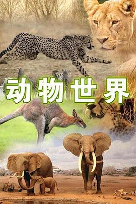 动物世界 - 影视剧导航封面