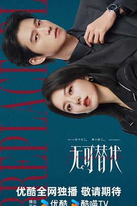 无可替代 - 影视剧导航封面
