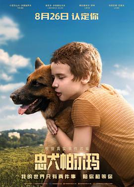 忠犬帕尔玛 - 影视剧导航封面